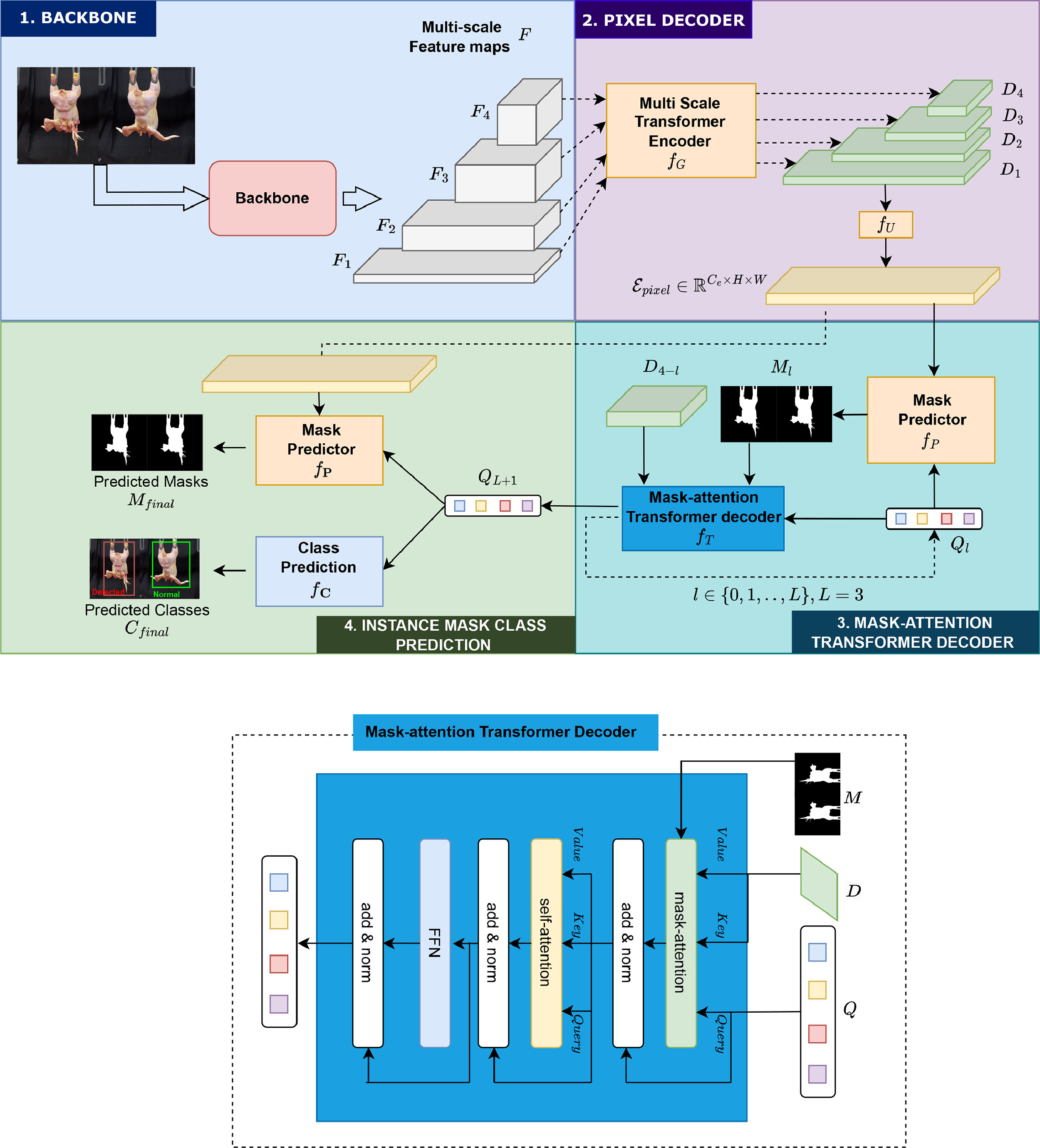 Flowchart of the proposed CarcassFormer framework