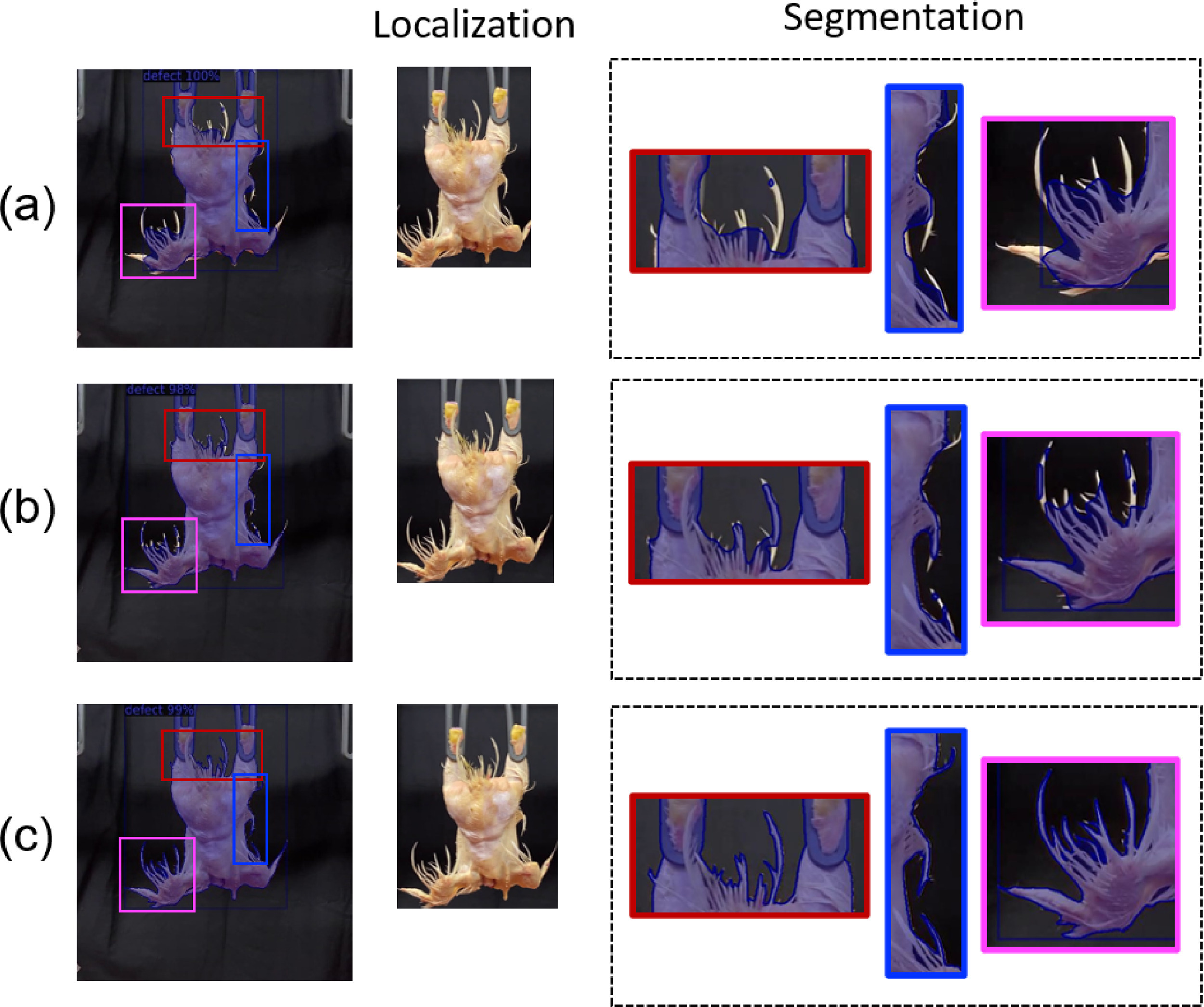 Performance comparison of poultry carcass defect segmentation methods