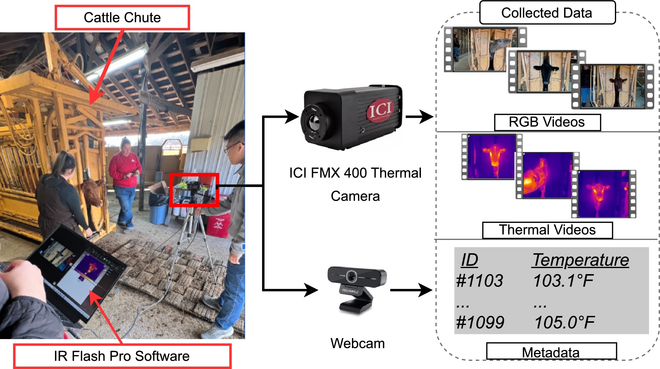 Thermal and RGB camera setup for cattle temperature collection