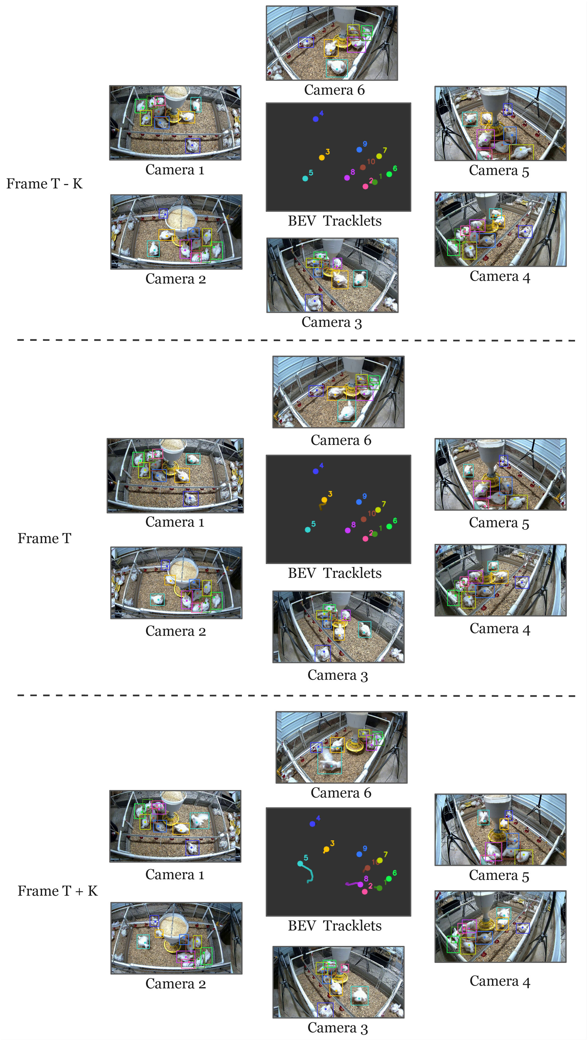 Qualitative tracking results from DeepBroilerTrack